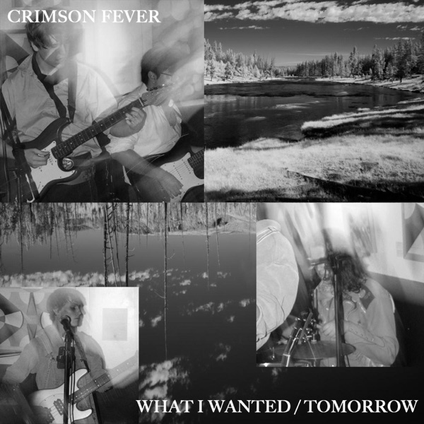 What I Wanted / Tomorrow